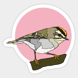 Golden Crowned Kinglet Sticker